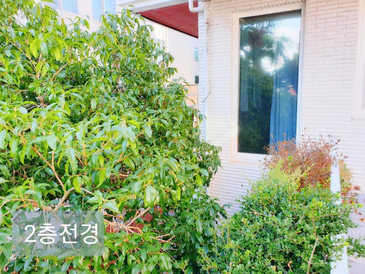 Picasso Guesthouse Mokpo Ngoại thất bức ảnh